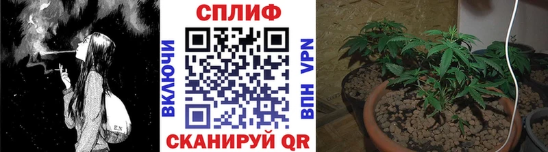 Амфетамин Касимов