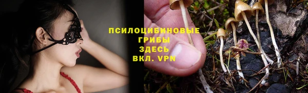 сатива Алексеевка