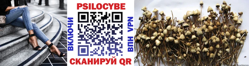 Псилоцибиновые грибы GOLDEN TEACHER  Касимов 