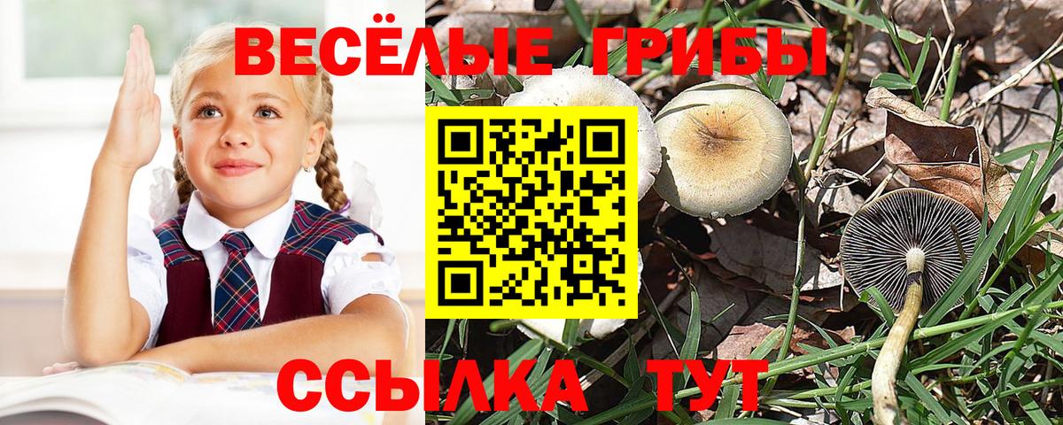 Касимов  Псилоцибиновые грибы ЛСД  Вход с VPN 